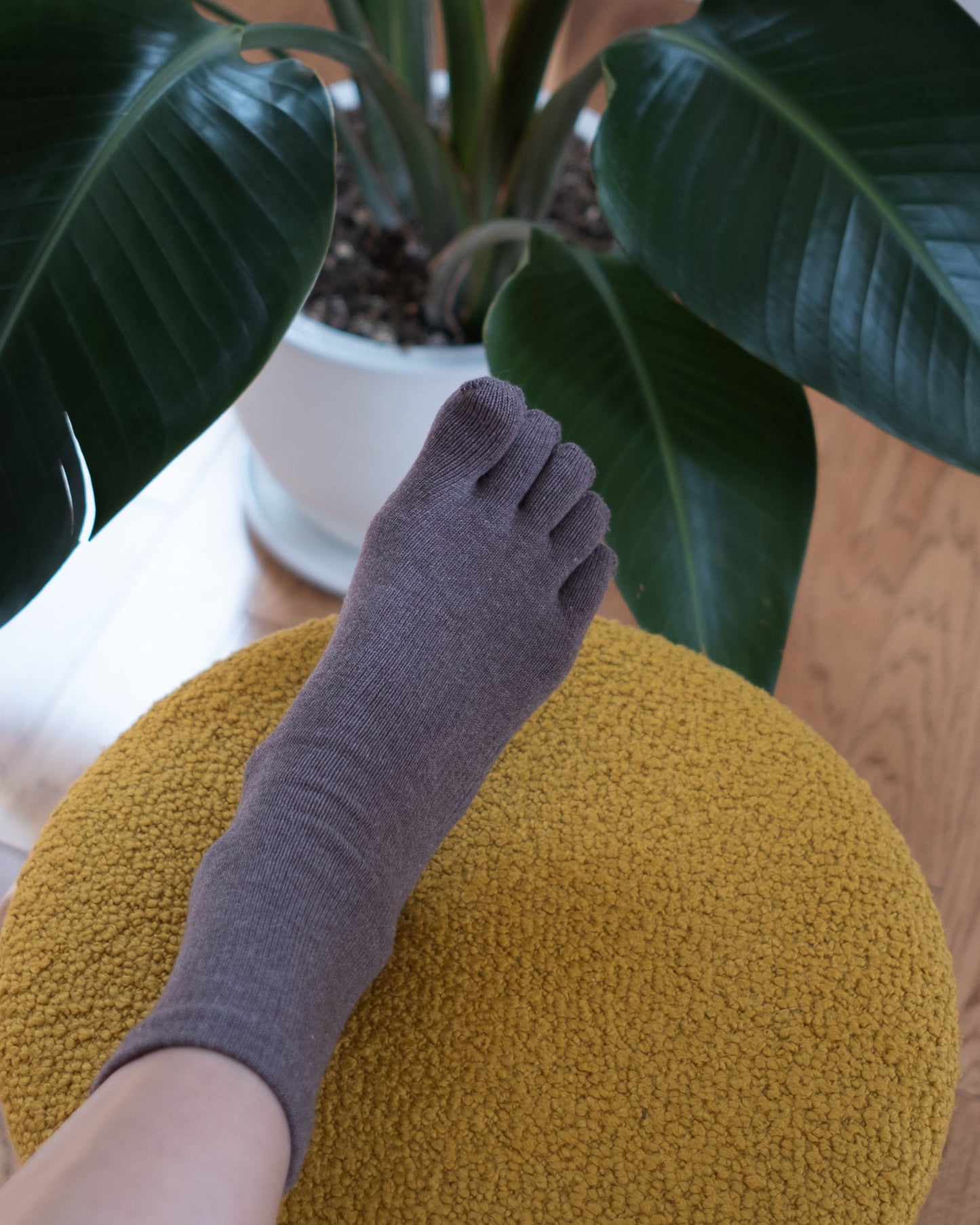 Natural Dyed Cotton Socks - Lac dye  | 草木染綿ソックス 紫鉱